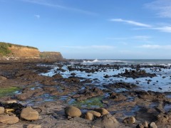 No penguin sightings, but still a beautiful spot to while away the evening