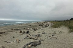 West coast beach at Haast