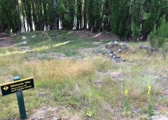 Week14_Tue_07