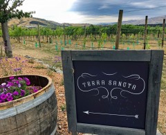 Mouthwatering Pinot