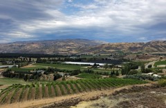 Bannockburn is world-renowned for its fine pinot noirs