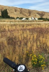 Just me and the beehives along the trail