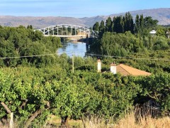 Non shaky bridge
