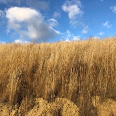 Week20_Tue_01