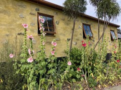 Week15_Tue_15