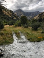 Week16_Fri_01