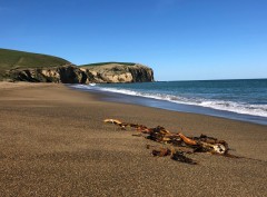 Another empty NZ beach