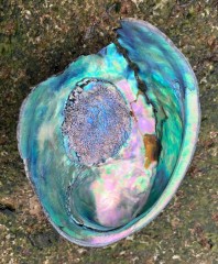Week19a_Sat_09
