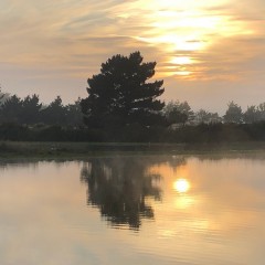 Week19a_Wed_08