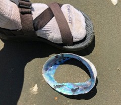 The Paua shells are enormous (ignore the fashion please)