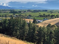 Over the hills and towards the Sounds