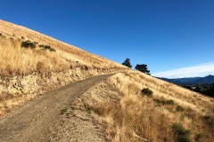 Wither Hills walking paths