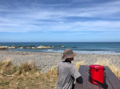 Another perfect picnic spot (we must be up to 100 now in NZ)