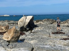 Ward Beach boulders