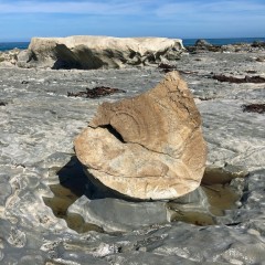 Ward Beach boulders