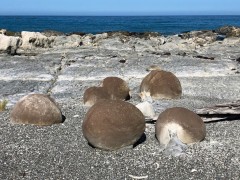 Ward Beach boulders (like Moeraki, just without the people)
