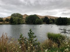 Week20_Wed_02