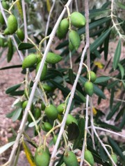 Week20_Wed_03