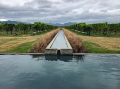Week20_Wed_06