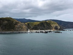 East side of Wellington Harbour on the approach