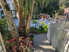 The grounds