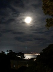 Moonlight over Wellington