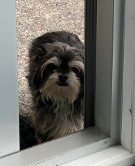 Millie