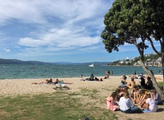 Oriental Bay Wellington