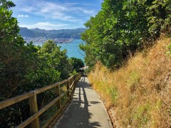 Climbing up to Mt Victoria