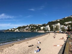 Oriental Bay Wellington