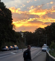 Walking home through the city