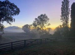 Week21B_Sun_02