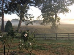 Week21B_Sun_03