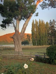 Week21B_Sun_04