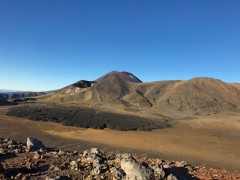Week21B_Thu_31