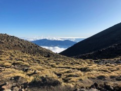 Week21B_Thu_32