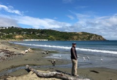 Porirua Bay on the west coast north of Wellington