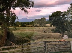 Week21B_Wed_07