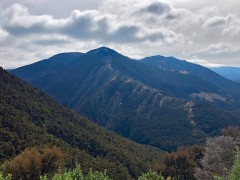 Kaweka Forest en route across the central North Island