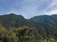 Kaweka Forest en route across the central North Island