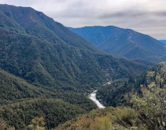 Not sure if we were seeing the Makino or Mohaka River in the valley