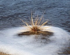 Week22_SIT_07