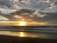 Week22_Sun_03