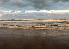 Week22_Wed_09
