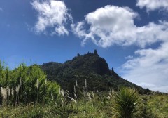 Mt Manaia