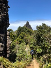 On our way up Mt Manaia