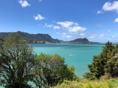 Midday from the deck