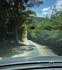 The driveway into our place