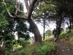 Path from our cottage down to our private cove