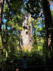 We can't leave you without one more view of Te Matua Ngahere